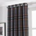 Aviemore 168X137 Eyelet Curtains Rust