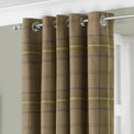 Aviemore 168X137 Eyelet Curtains Thistle