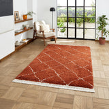 Rust Willow Shaggy Tasselled Diamond Rug from Roseland Furniture