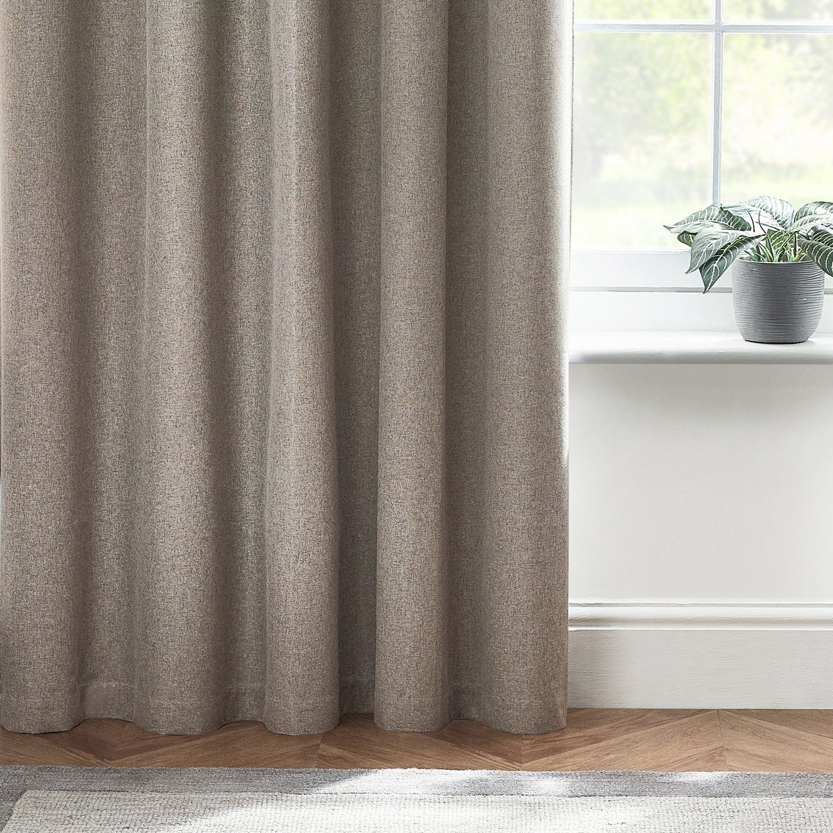 Dawn 229X137 Eyelet Curtain Grey