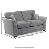 A grey two-seater sofa with dimensions: width 203cm, depth 100cm, and height 100cm. Labeled "Image for size information only."