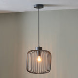 Dania Matt Black Metal Wire Pendant for living room