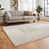 A tufted gray sofa with cushions rests in a warmly lit room featuring a wood floor, striped rug, potted plant, and framed wall art.