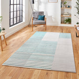 Striped rug on wooden flooring in a brightly lit room with furniture, plants, and a large window overlooking buildings.