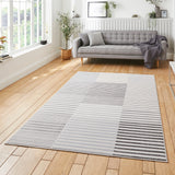 A striped area rug rests on hardwood flooring, with a gray sofa and indoor plants providing a cozy living room context.