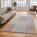 A striped area rug lies centrally on a wooden floor in a well-lit, modern room with furniture, including a sofa and chair, and a large window.