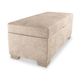 Oakley-faux-leather-storage-footstool-mink from Roseland Furniture