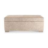 Oakley-faux-leather-storage-footstool-mink from Roseland Furniture