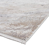 Bella Beige Distressed Rug