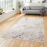 Bella Beige Distressed Rug for living room