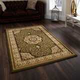 Holden Green Oriental Stain Resistant Rug for living room