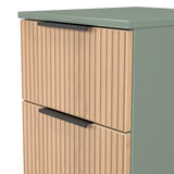 Jago-slatted-effect-2-drawer-bedside-green from Roseland Furniture