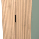 Jago-slatted-effect-tall-2-door-wardrobe-green from Roseland Furniture