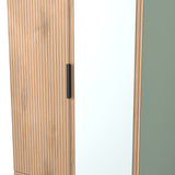 Jago-tall-2-door-2-draw-mirrored-wardrobe-green from Roseland Furniture