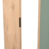 Jago-tall-2-door-mirrored-wardrobe-green from Roseland Furniture