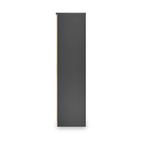 Jago-tall-3-door-2-drawer-wardrobe-black from Roseland Furniture