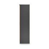 Jago-tall-3-door-2-drawer-mirror-wardrobe-black from Roseland Furniture