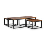 Loric Parquet Mango Wood Coffee Table from Roseland Furniture