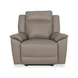 Alden Leather Recliner Armchair