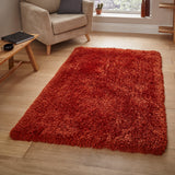 Newton Terracotta Deluxe Shaggy Rug for bedroom