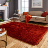 Newton Terracotta Deluxe Shaggy Rug for living room