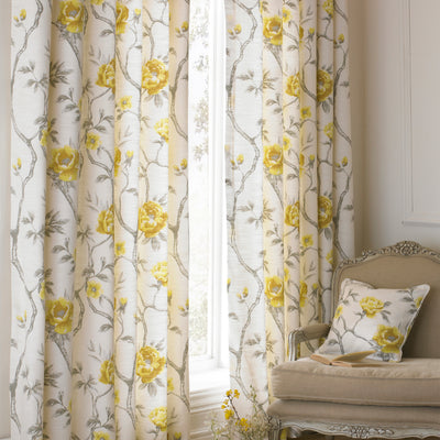 Rosemoor Sheer Floral Eyelet Curtains