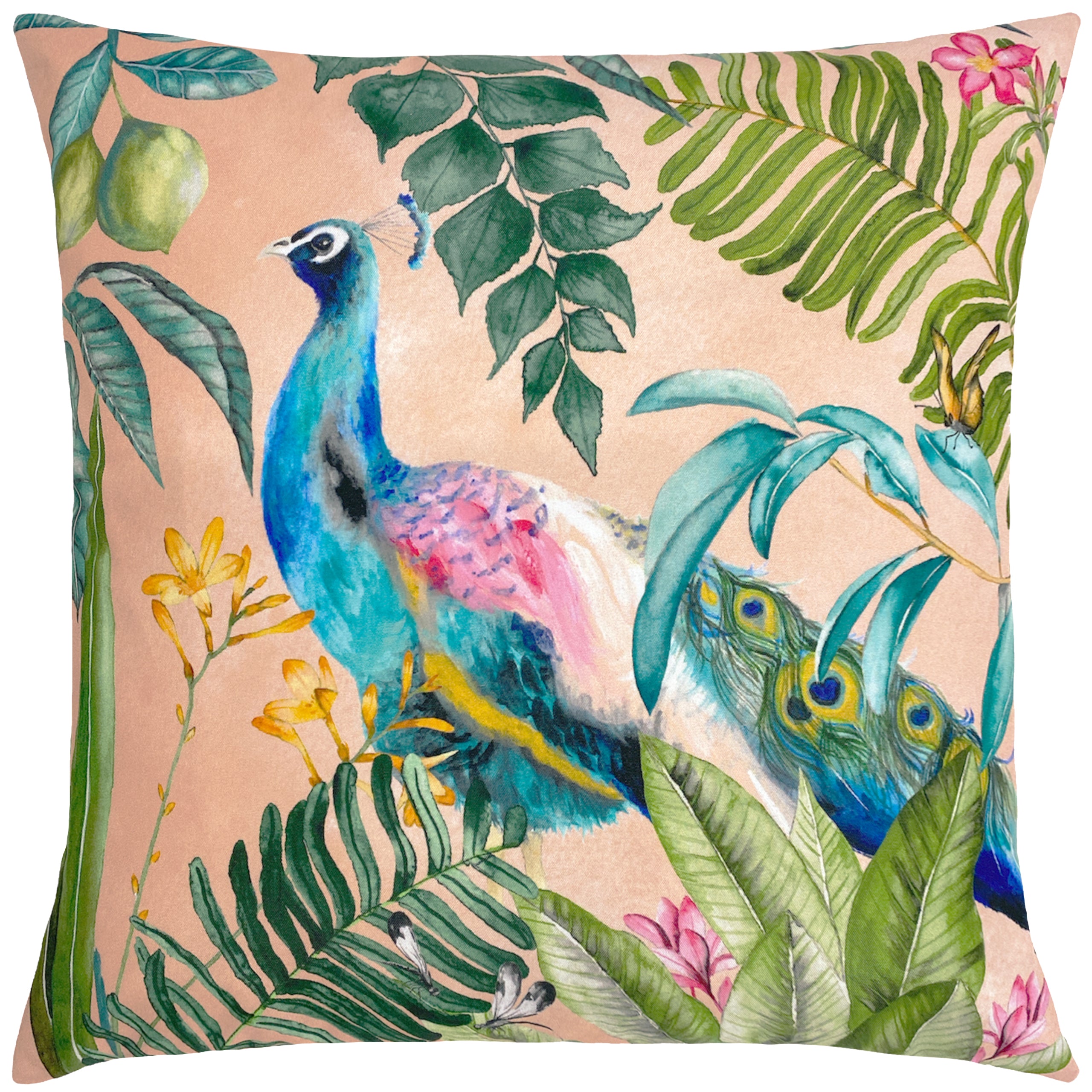 Peacock cushions shop