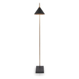 Zeta Matt Black and Antique Brass Floor Lamp