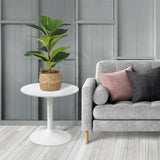 A green potted plant sits on a white round table, next to a gray sofa with pink and gray pillows, in a room with wood flooring and paneled walls.