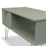 Moreno Olive Green 1 Drawer Coffee Table with Storage and gold hairpin legs